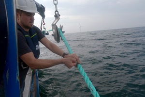 Offshore wind farm research into cultivating less carbon intensive foods