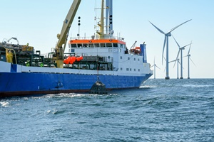 RWE tests artificial reefs at offshore wind farm in the Baltic Sea