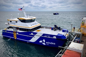 Windea Intrepid and Courageous